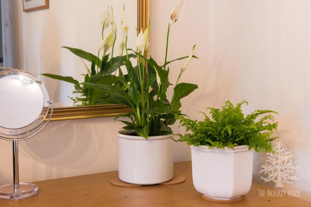 Photo of Others in Stone