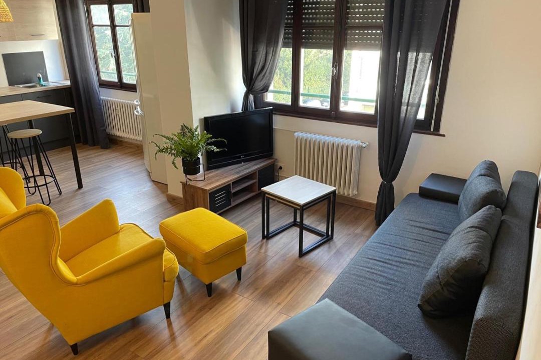 Photo of Livingroom in Annemasse