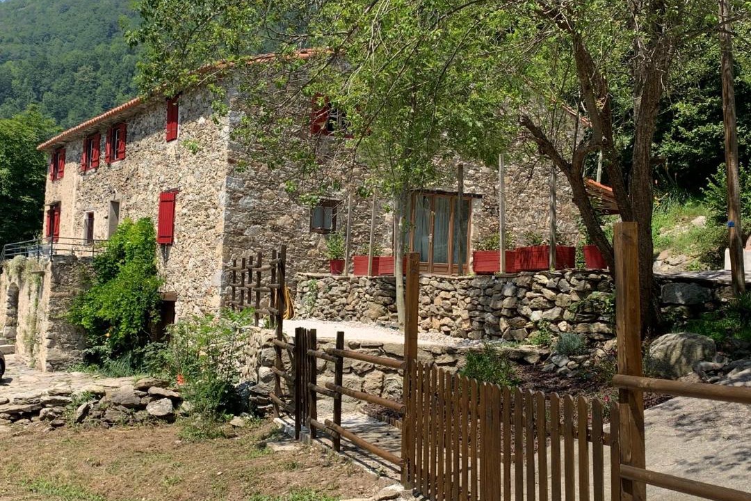 Photo of Others in Prats-de-Mollo-la-Preste