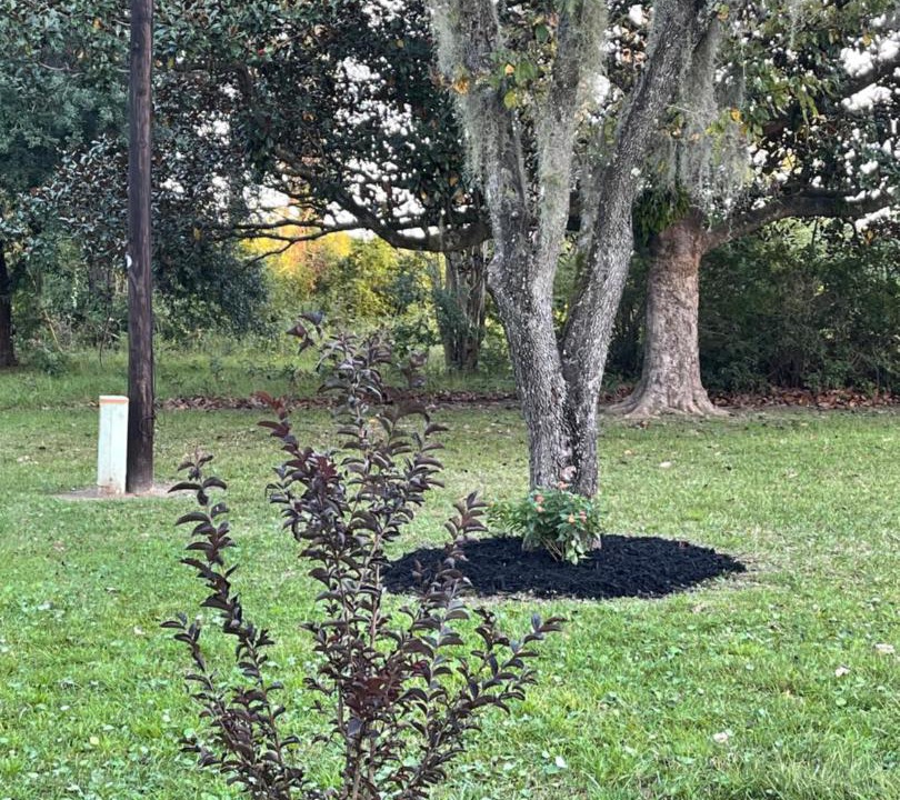Photo of Outdoor in Dale