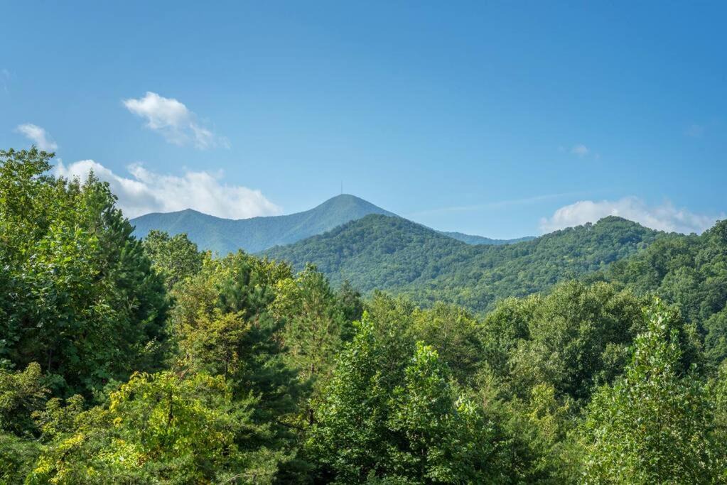 Photo of Others in Candler