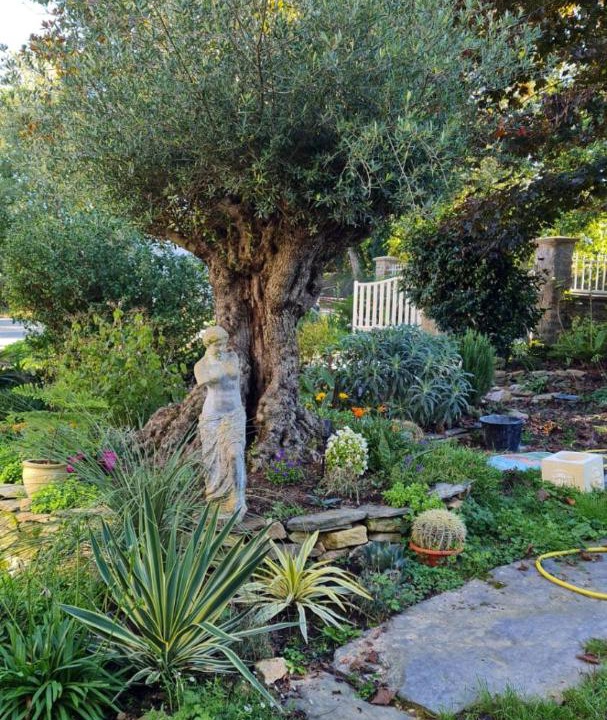 Photo of Others in Cournon