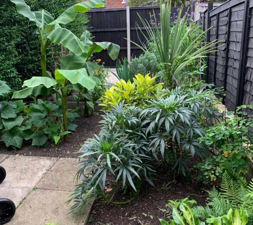 Photo of Others in Norwich