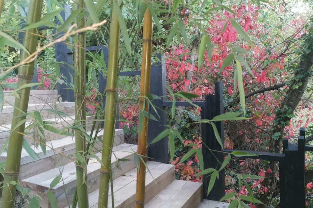 Photo of Patio Balcony in Jarnioux