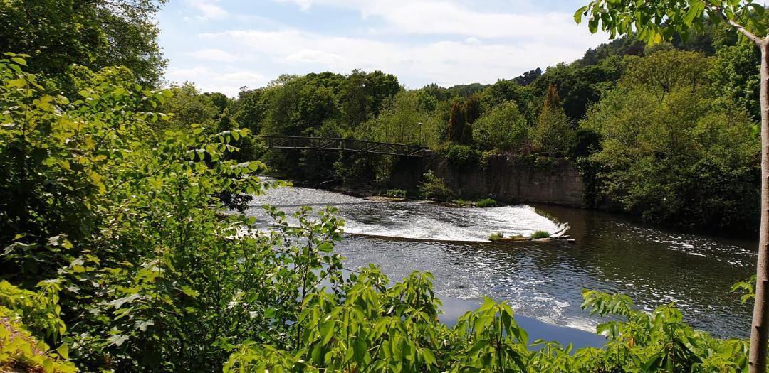 Photo of Others in Makeney