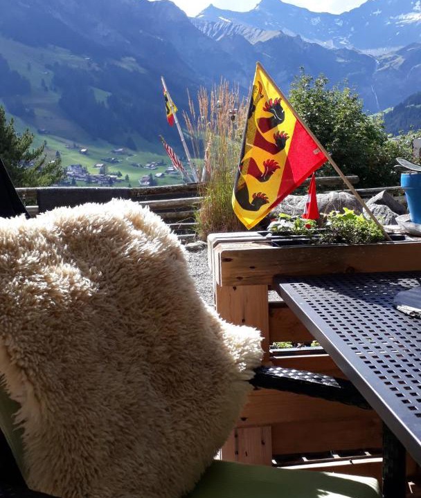 Photo of Others in Adelboden