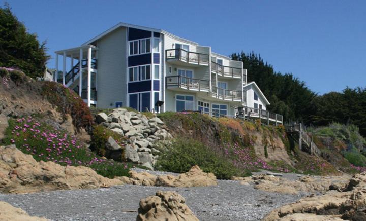 Photo of Others in Shelter Cove