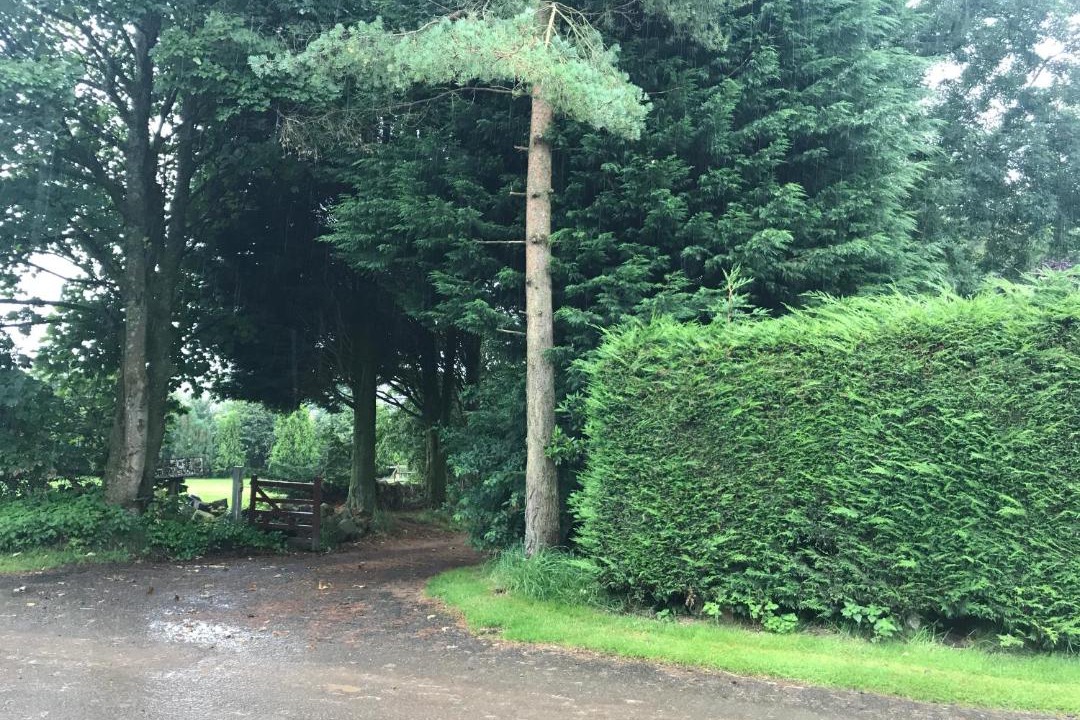 Photo of Others in Balmore