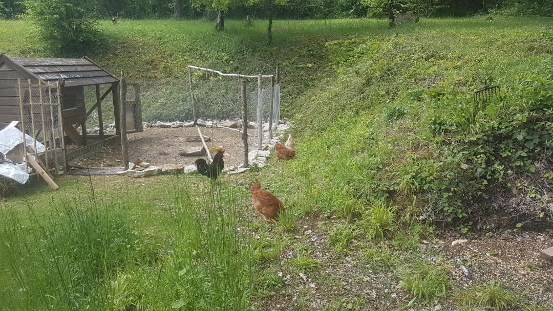 Photo of Others in Sougeres-en-Puisaye