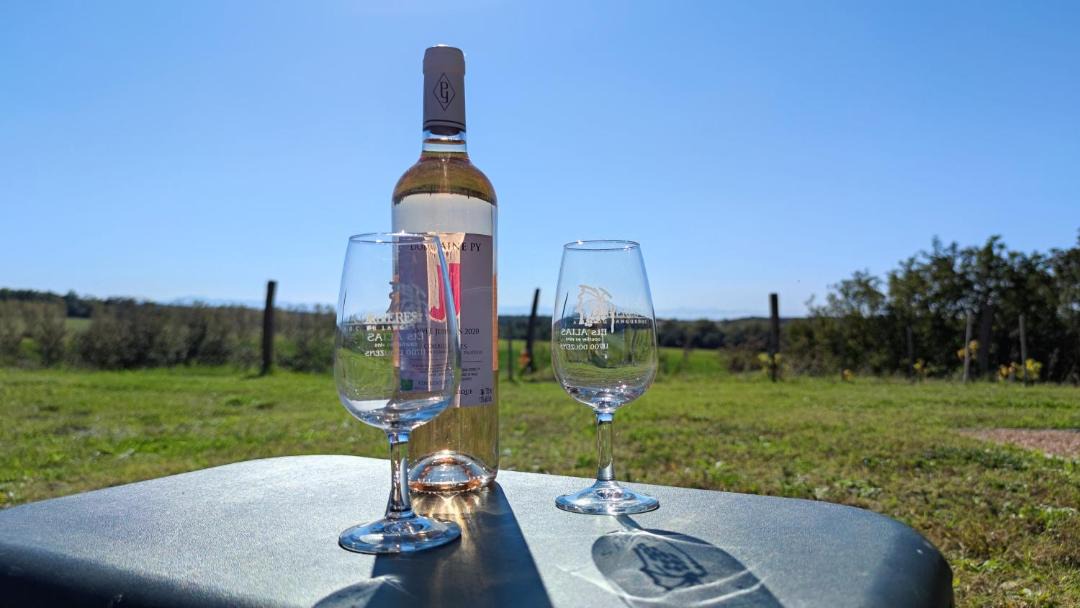 Photo of Others in Revel