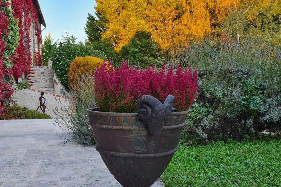 Photo of Others in Feings