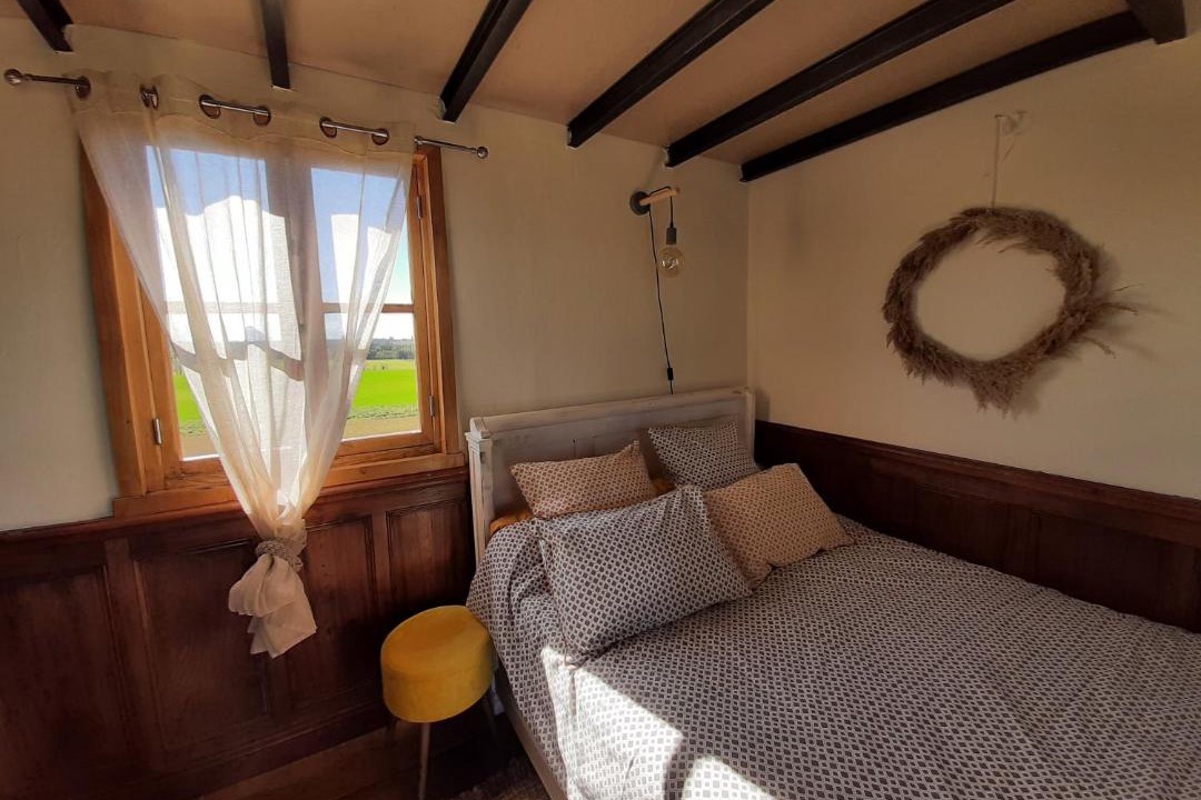 Photo of Others in Revel