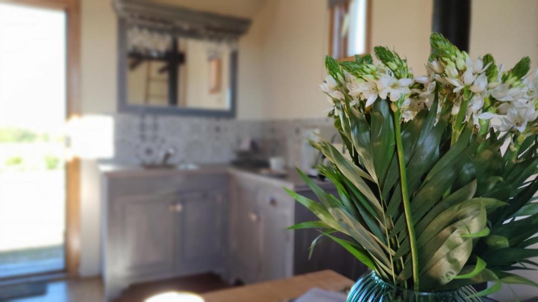 Photo of Others in Revel