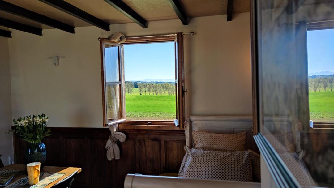 Photo of Others in Revel