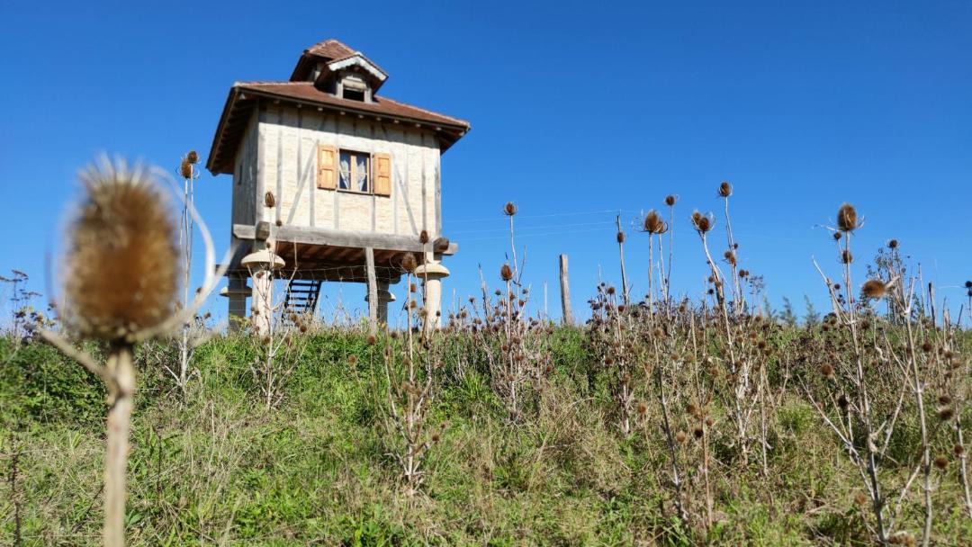 Photo of Buildings in Revel