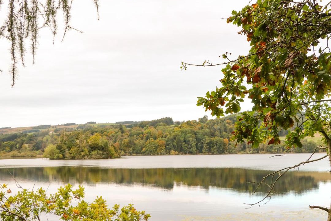 Photo of Outdoor in Murthly