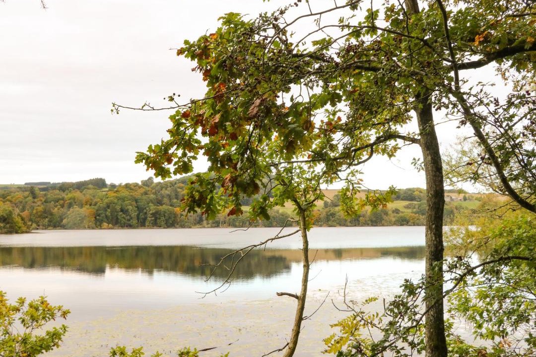 Photo of Outdoor in Murthly