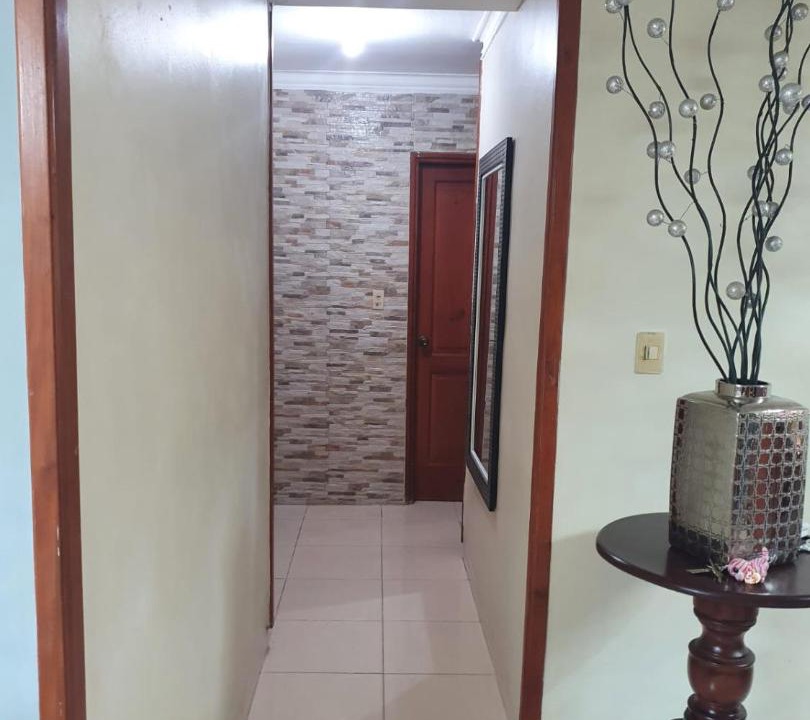 Photo of Others in Pedro Brand