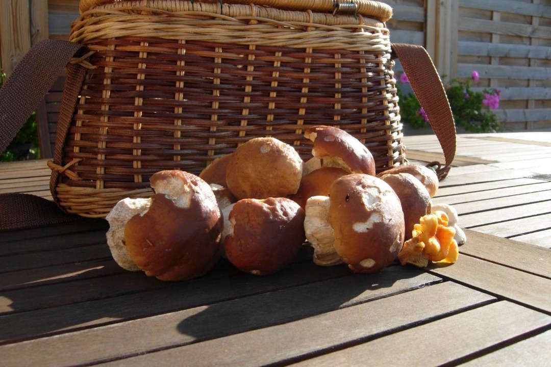 Photo of Others in Geney