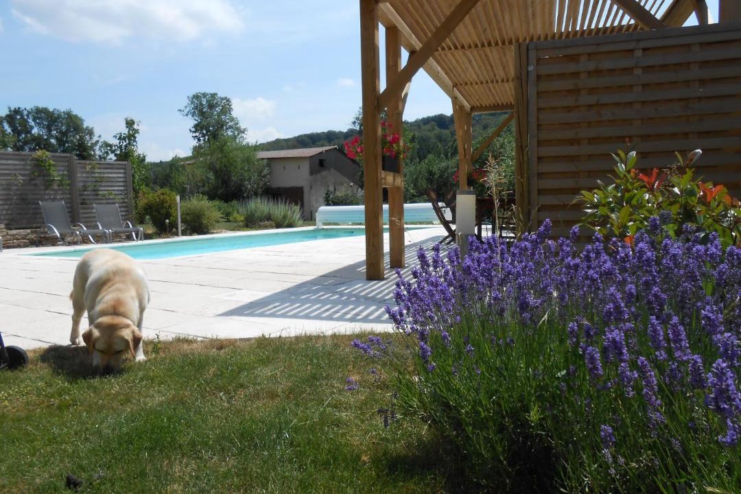 Photo of Others in Geney