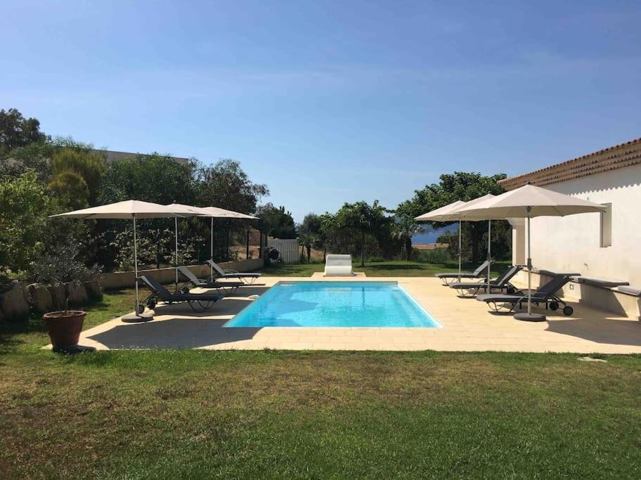 Photo of Others in Pietrosella