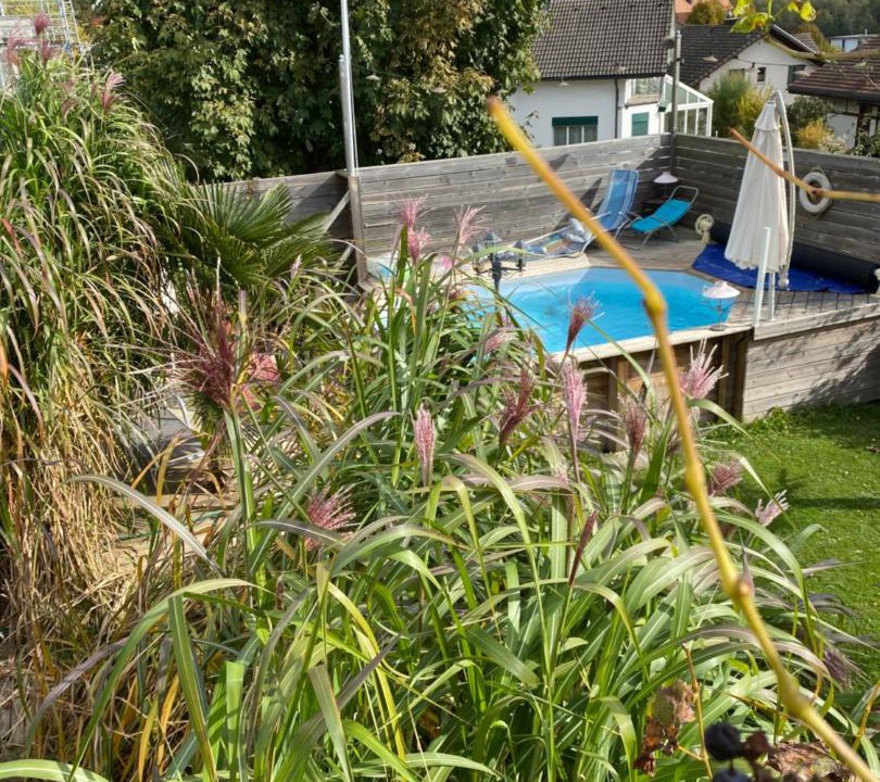 Photo of Others in Lohn-Ammannsegg