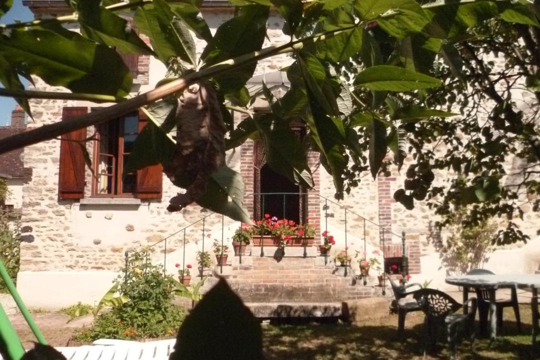 Photo of Others in Cheu