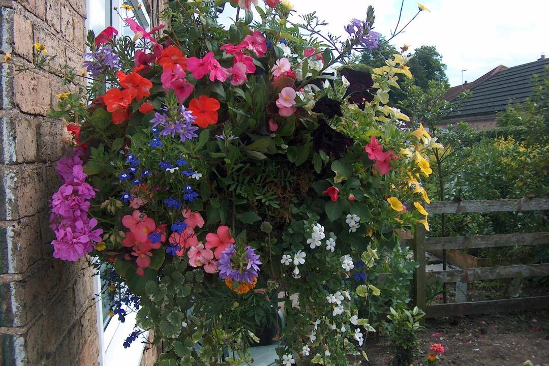 Photo of Others in Fangfoss