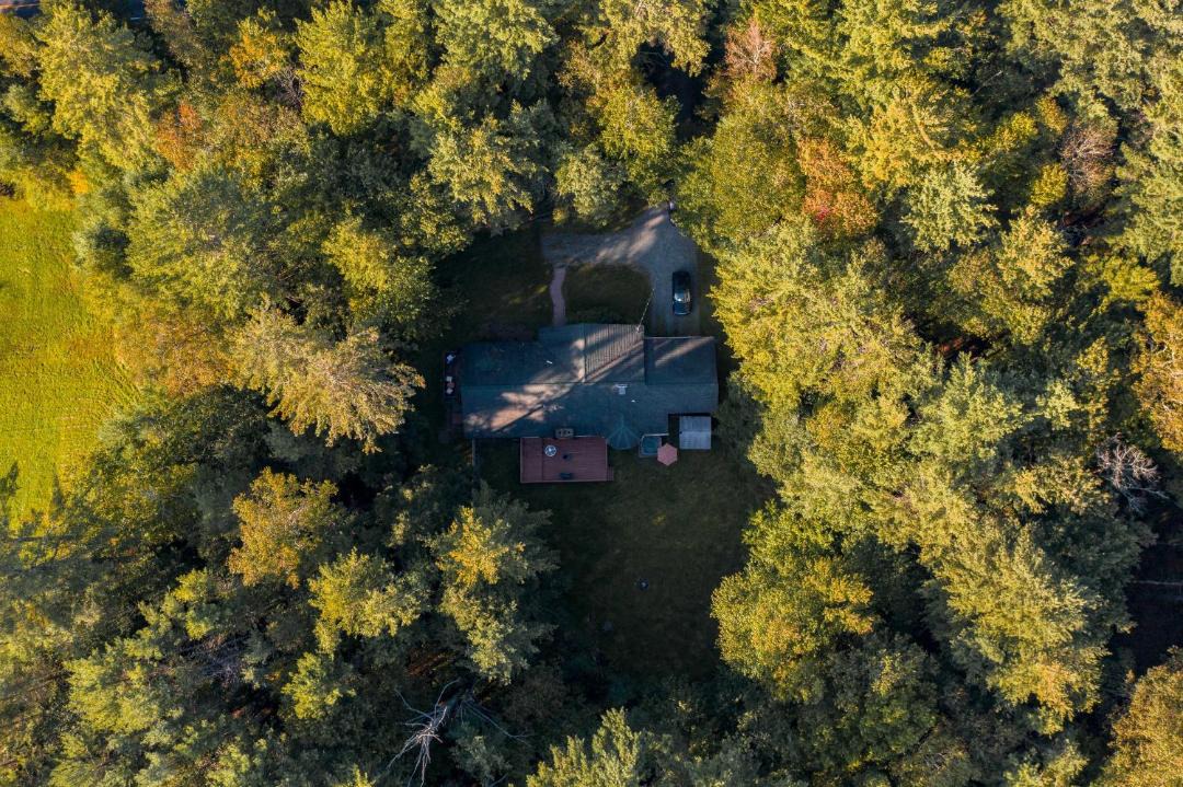 Photo of Others in Swan Lake