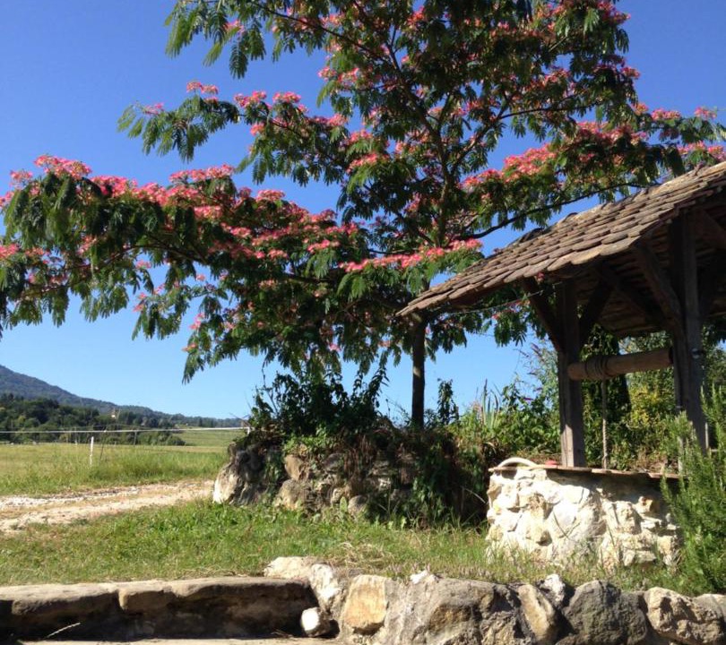 Photo of Others in Yenne