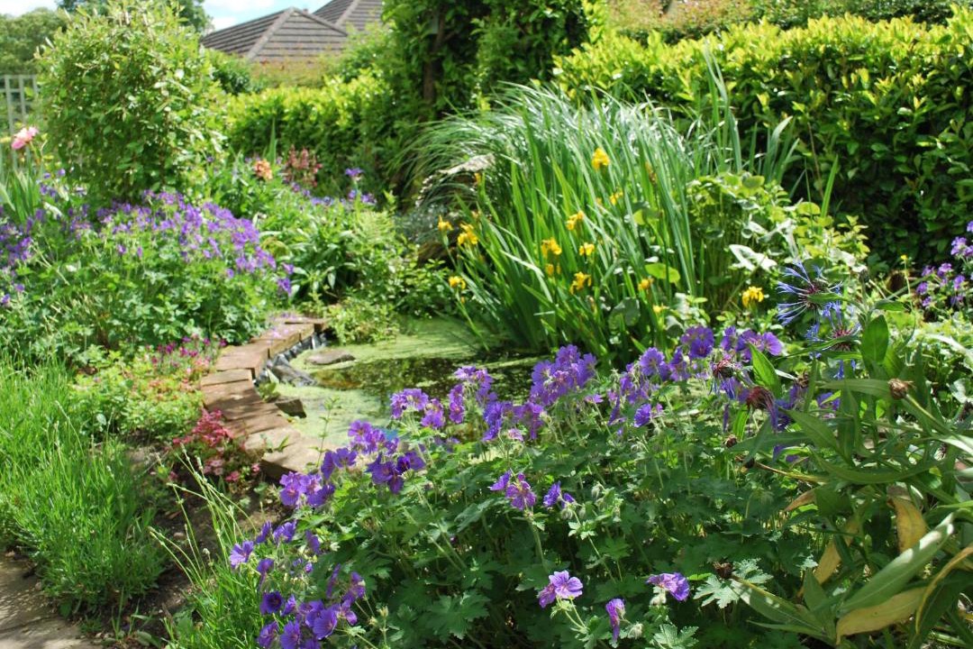 Photo of Others in Fangfoss