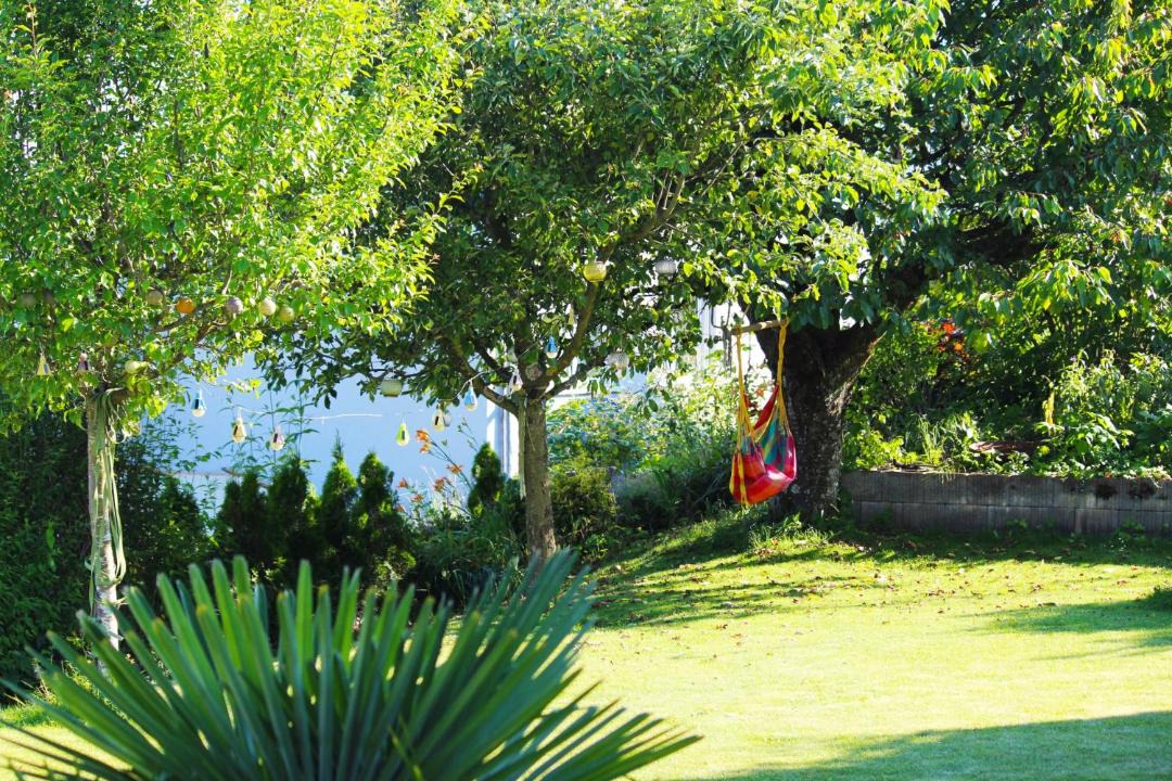 Photo of Others in Lohn-Ammannsegg