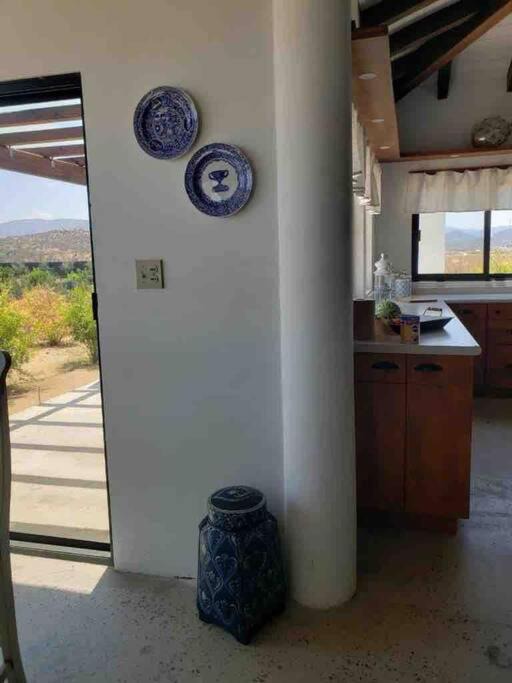 Photo of Others in Valle de Guadalupe