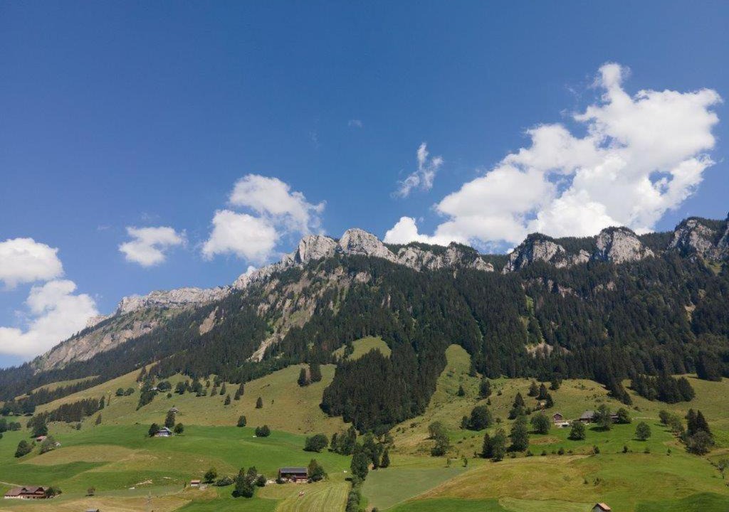 Photo of Others in Fluehli
