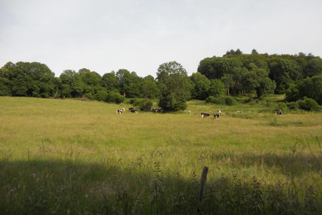 Photo of Others in Aurillac