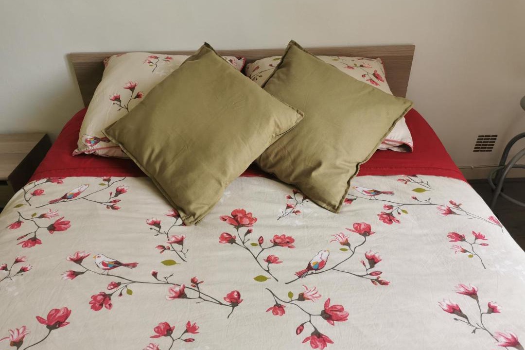 Photo of Others in Castres