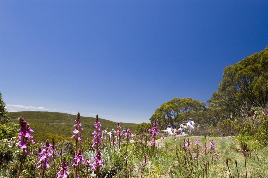 Photo of Outdoor in Baw Baw Village