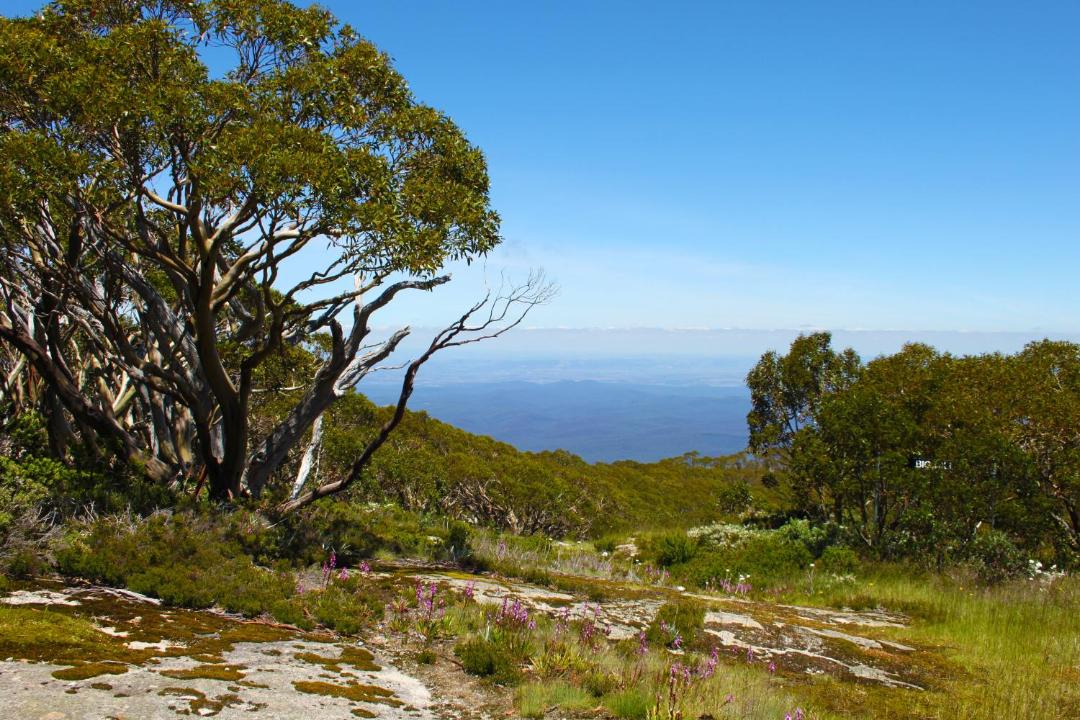 Photo of Outdoor in Baw Baw Village