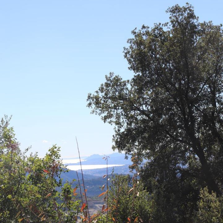 Photo of Others in Peille