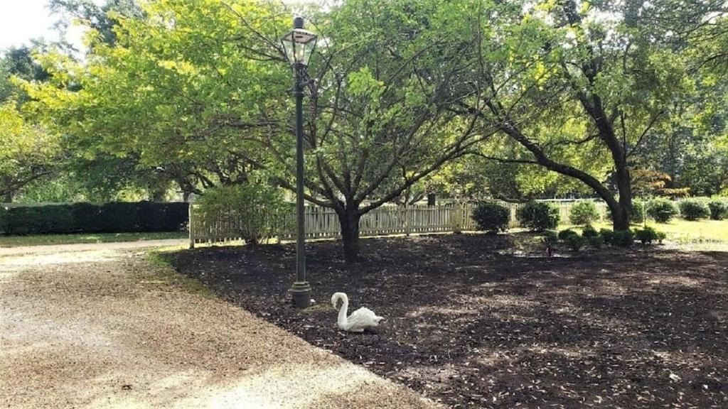 Photo of Others in Hayes