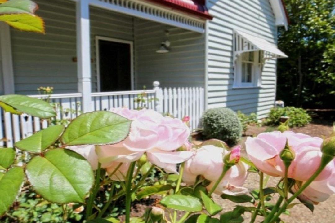 Photo of Others in Exeter