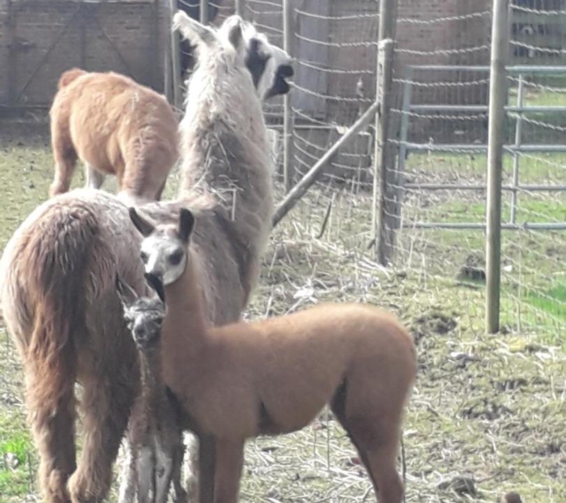 Photo of Others in Courcelles-sous-Moyencourt