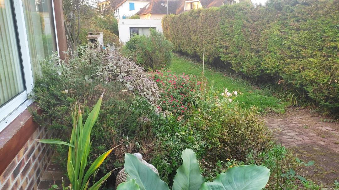 Photo of Others in Hermanville-sur-Mer