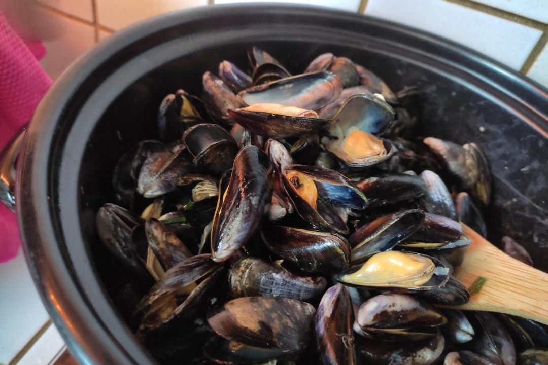 Photo of Human In Picture in Hermanville-sur-Mer