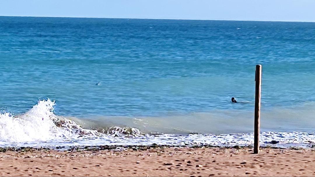 Photo of Outdoor in Hermanville-sur-Mer