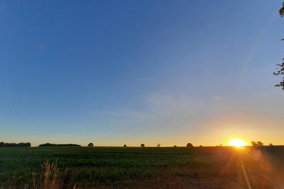 Photo of Outdoor in Woodstock