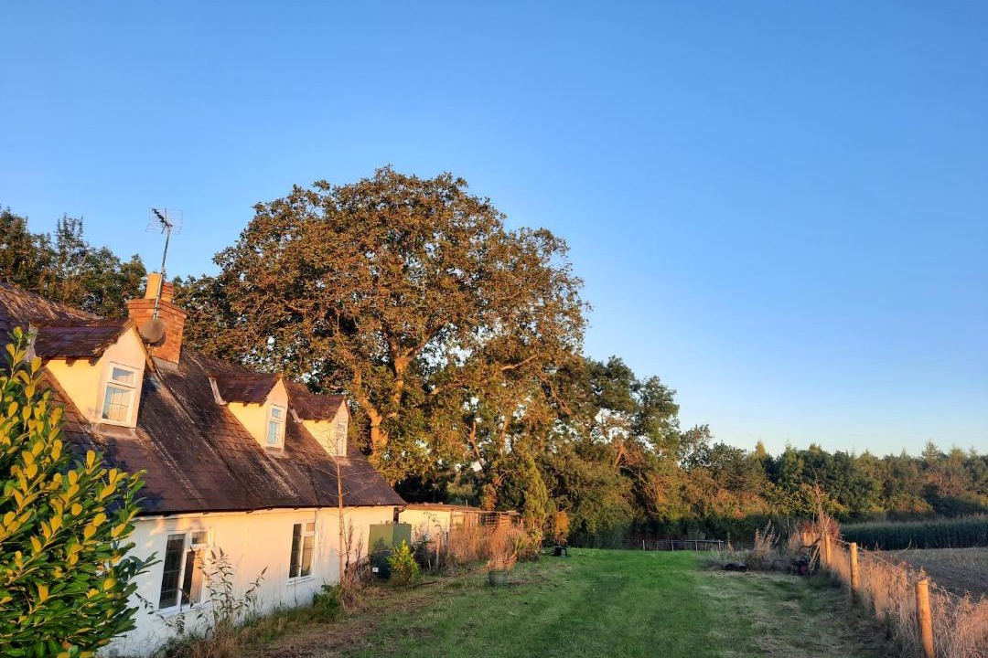 Photo of Buildings in Woodstock