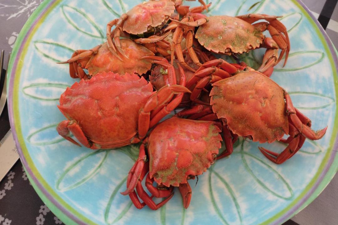 Photo of Others in Hermanville-sur-Mer