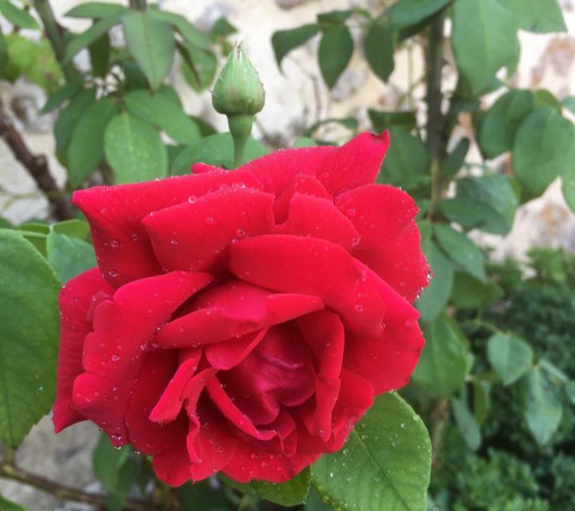 Photo of Patio Balcony in La Villeneuve-au-Chatelot