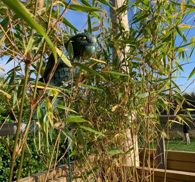 Photo of Others in Bassevelle